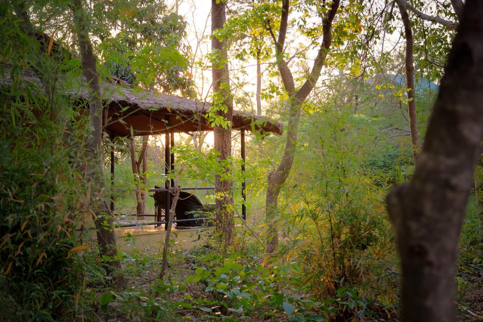 Jim'S Jungle Retreat Hotel Rámnagar Kültér fotó