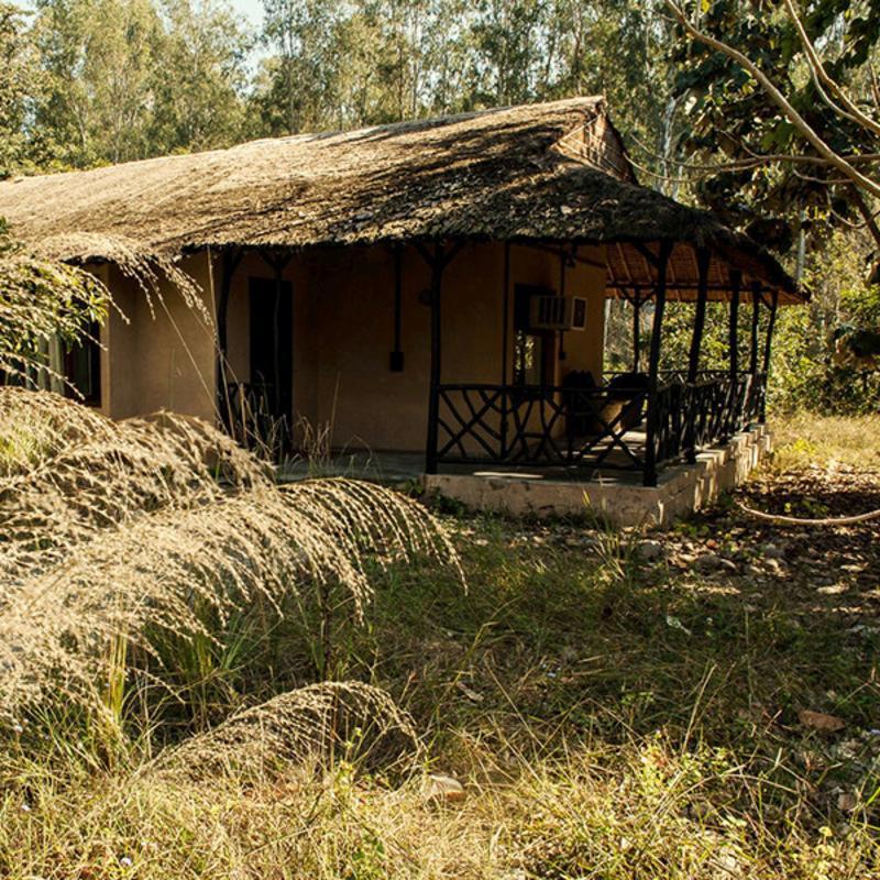 Jim'S Jungle Retreat Hotel Rámnagar Kültér fotó