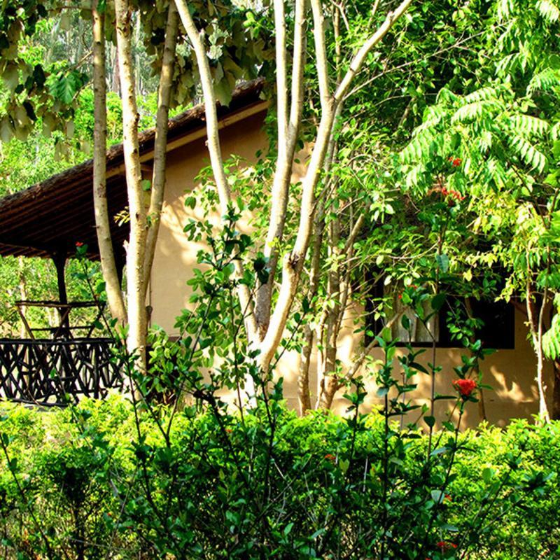 Jim'S Jungle Retreat Hotel Rámnagar Kültér fotó