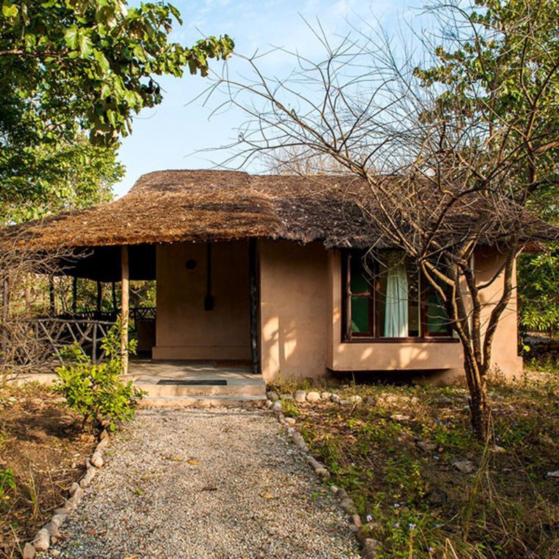 Jim'S Jungle Retreat Hotel Rámnagar Kültér fotó