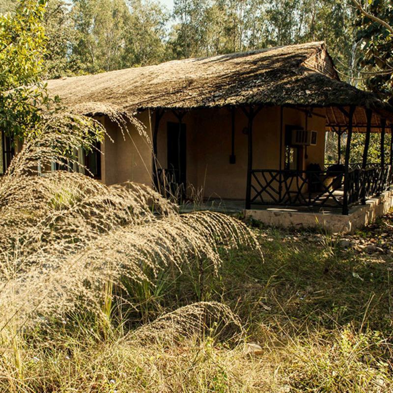 Jim'S Jungle Retreat Hotel Rámnagar Kültér fotó
