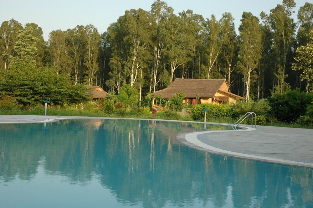 Jim'S Jungle Retreat Hotel Rámnagar Kültér fotó