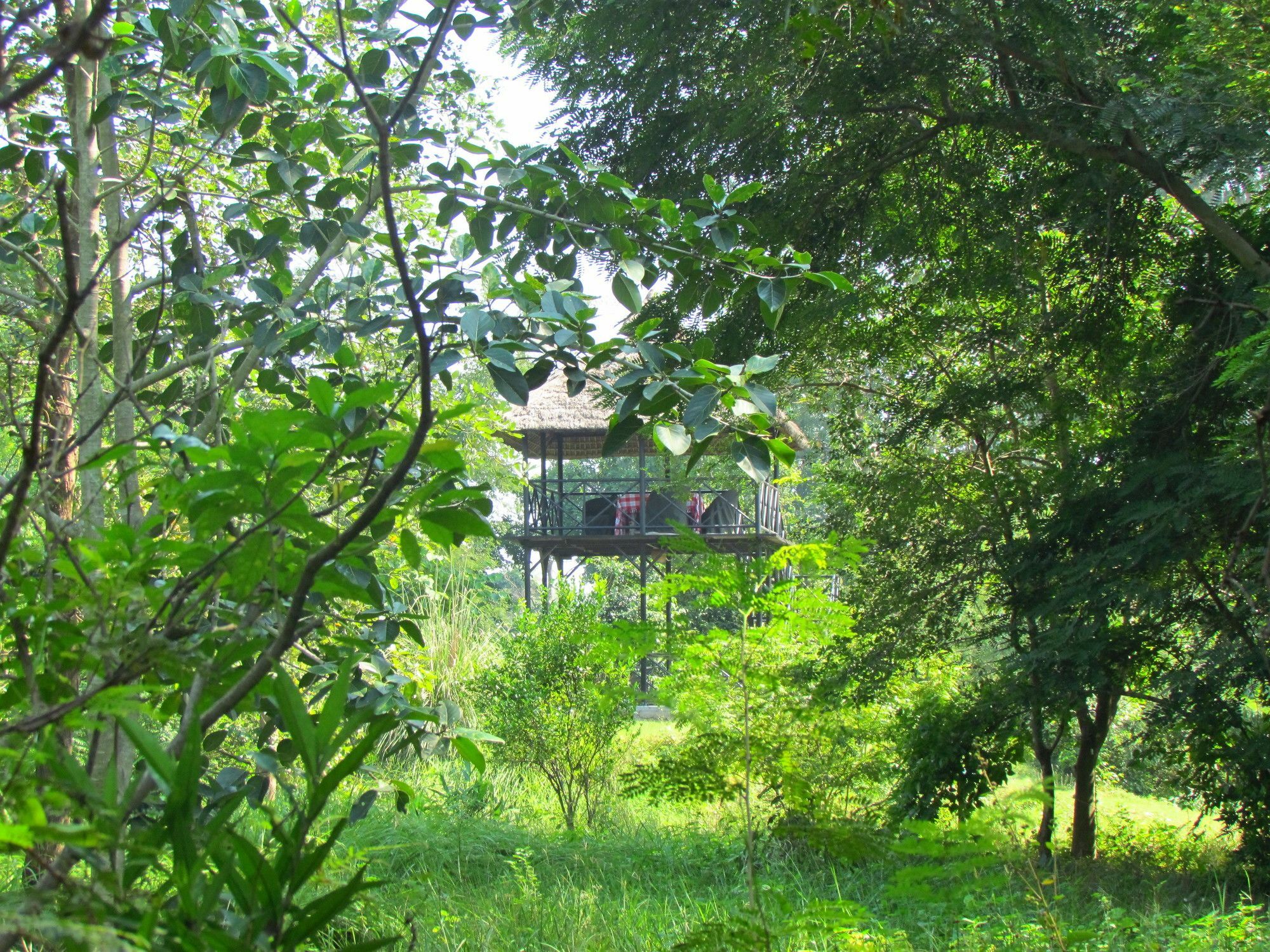 Jim'S Jungle Retreat Hotel Rámnagar Kültér fotó