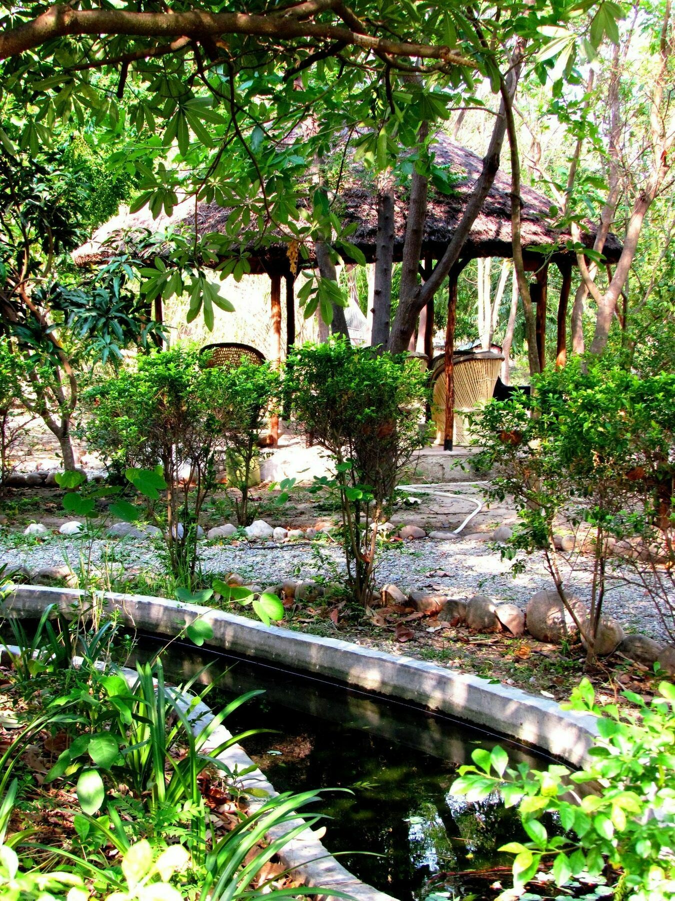 Jim'S Jungle Retreat Hotel Rámnagar Kültér fotó
